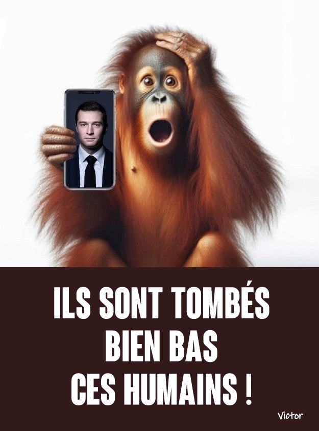 Tombés bien bas.jpg